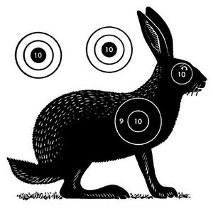 Meet your Posher, Cait